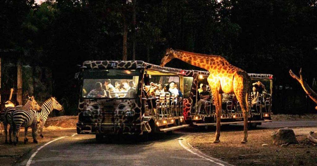Safari nocturno en Chiang Mai