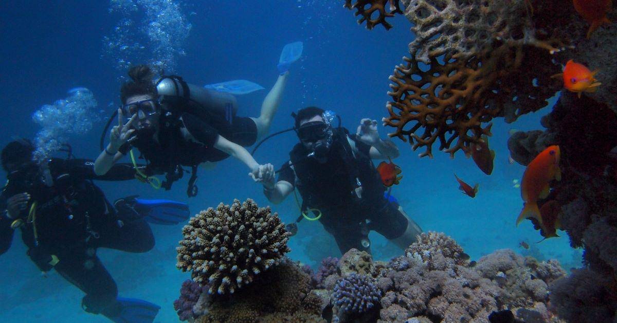 Diving in Ko Phi Phi